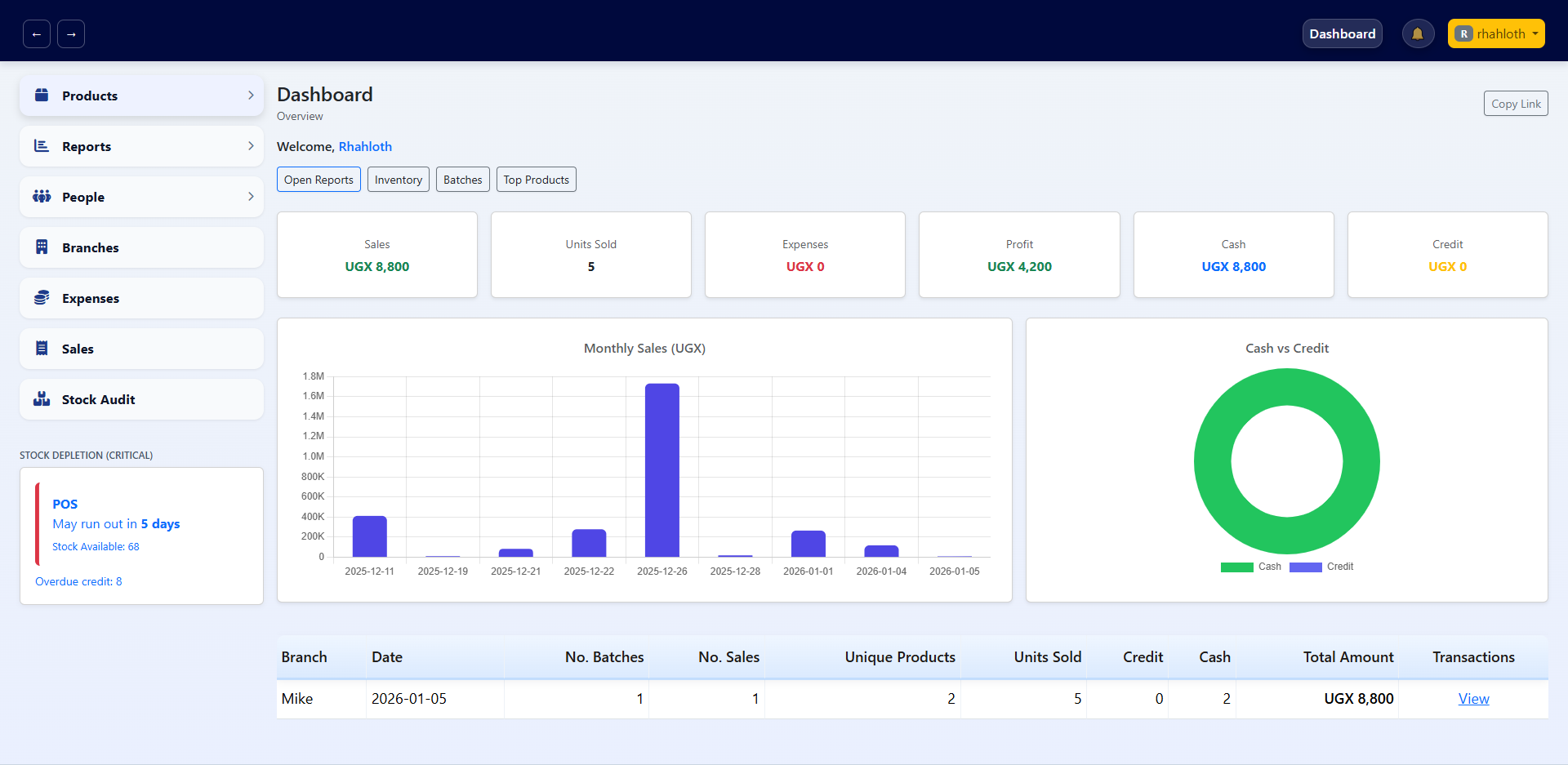 Business Analytics Dashboard Screenshot